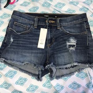 Francesca's Harper Shorts